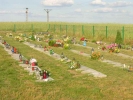 Widok Cmentarza w czerwcu 2011 roku